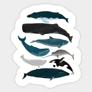 Whales Sticker